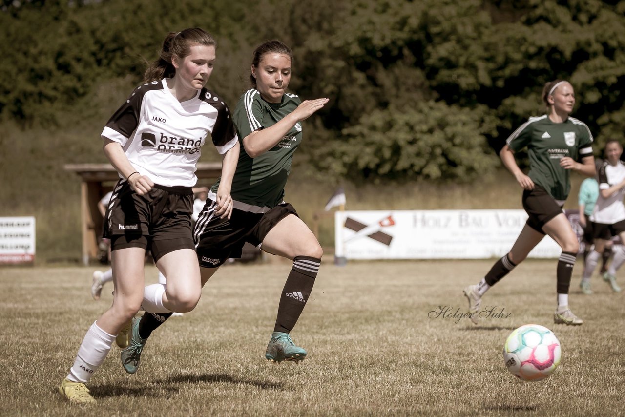 Bild 172 - wBJ TuRa Meldorf/Buesum - JFV Luebeck : Ergebnis: 1:0